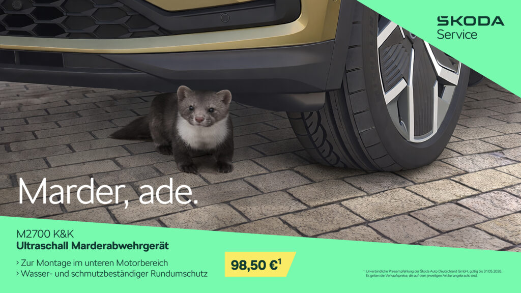 25-0680_SK_ServiceAktion_Fru¦êhjahr_Digitale_Slideshow_16_9_RGB_05